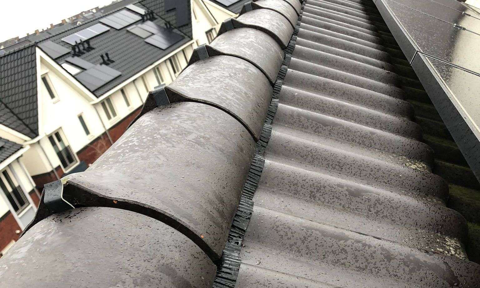 Nieuwe nokvorsten geplaatst in 0299